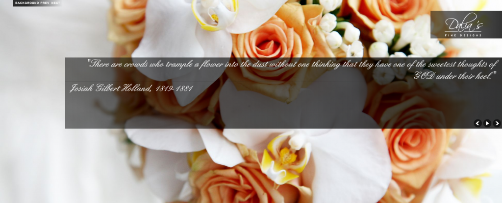 bannersnack HTML embed code